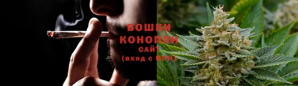 гидра Лагань