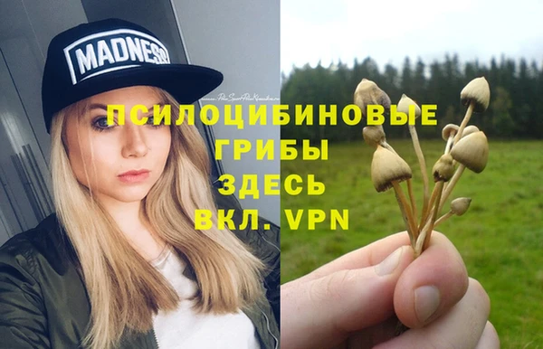 гидра Лагань