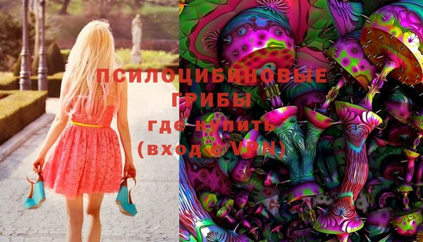 гидра Лагань
