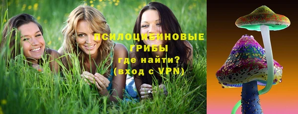 гидра Лагань