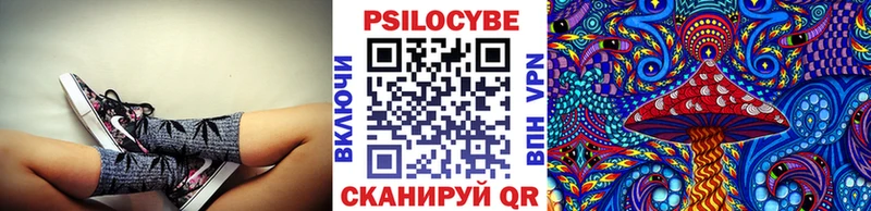 Галлюциногенные грибы Psilocybe  KRAKEN сайт  shop какой сайт  Медынь 